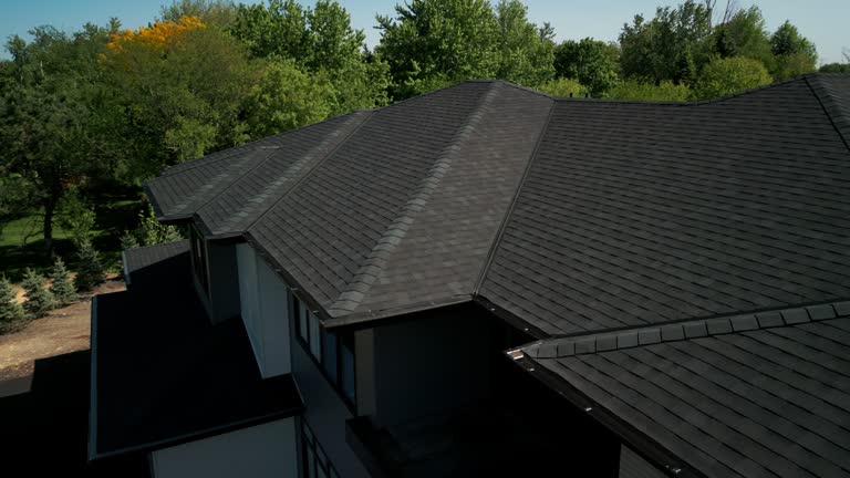 Best Roof Maintenance and Cleaning  in Williston, FL